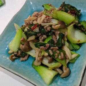 青梗菜と挽肉のピリ辛炒め